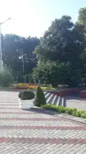 Солнечный - 73
