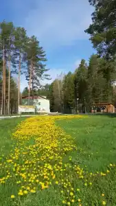 Селычка - 23