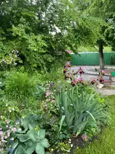 Тихая Гавань - 90