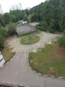 Паллада - 17