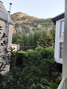 Green Garden - 44