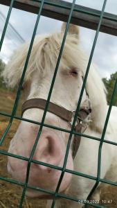 Спальный корпус Коверши - 62