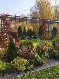 Березовый Уют - 39