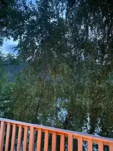 Шанти Алтай - 61