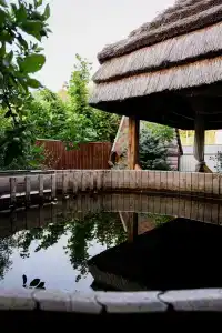 Курочка ряба - 15