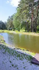 Лесной отель Берендей - 2