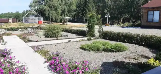 Березка - 10