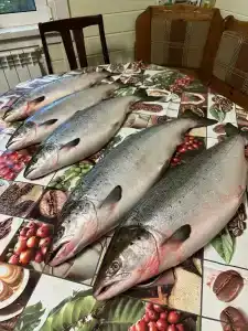 Гостевой дом - 32