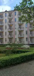 Белое озеро - 82