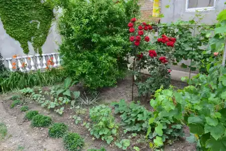 Лонгвина - 20