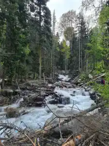 Тебердом - 41