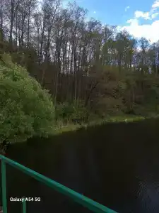 Берендей - 68