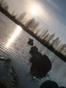 Усадьба на Шамокше - 73