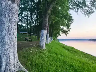 Волжский Сон - 38