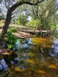 Терем - 11