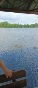 Монахов пруд - 87