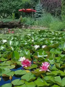 Челси - 2