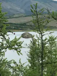 АлБа - 46