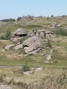 Солнечный берег - 43
