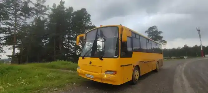Тайга - 35