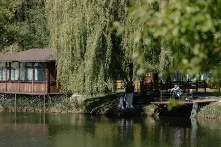 Макарди - 0
