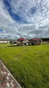 Мурманская страусиная ферма - 95