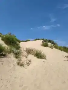 Золотые Барханы - 49