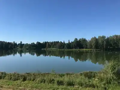 Ильинка Вилладж - 36