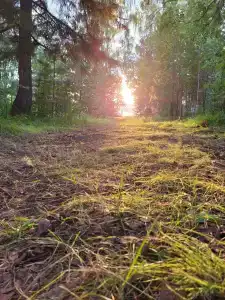 Вогульский крокодил - 41