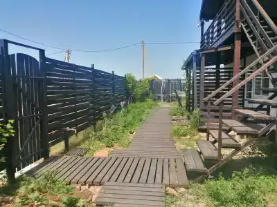 Таманит - 2