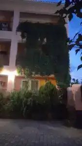 Пансионат Эльвиде - 38