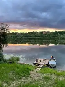 Подсолнухи - 48