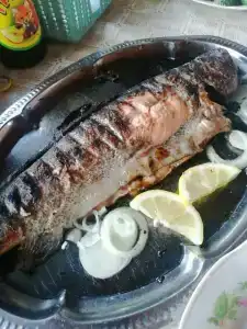 Зона отдыха Озерный - 80