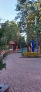 Хвойный - 96