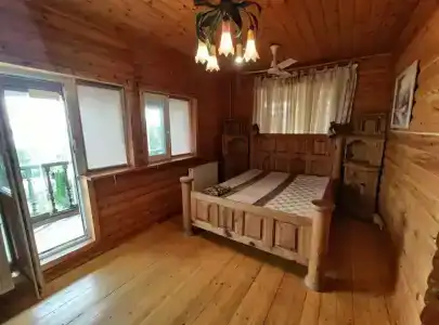 Рузмарин - 7