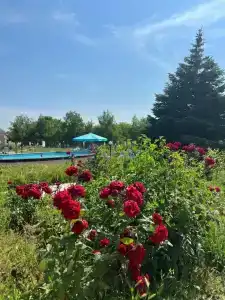 Виста - 68
