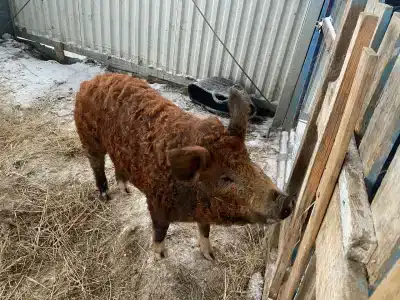 Александровский спас - 58