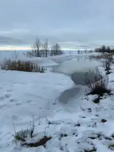 Буревестник - 19