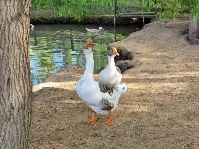 Мультиферма - 10