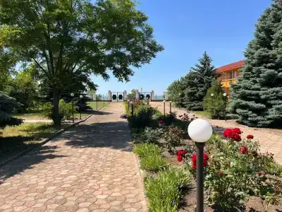 Виста - 33