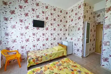 Аида - 23