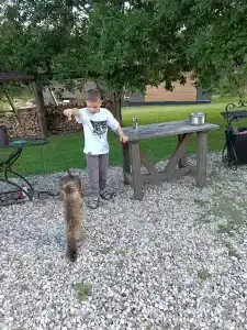 МайнДорф - Батаково - 63