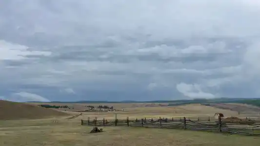 Байкал-Бабр - 95