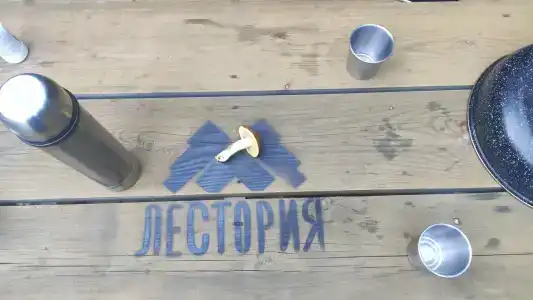 Лестория - 13