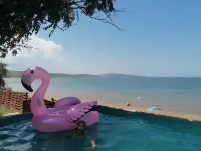 Амбассадор - 35