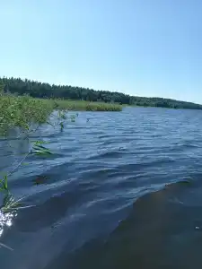 Глэмпинг Shanti Home - 73