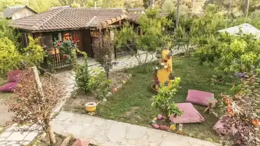 Koala Bungalows - 34