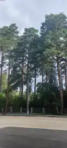 Дом специалиста - 29