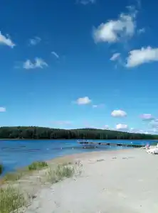 Бунчук - 99