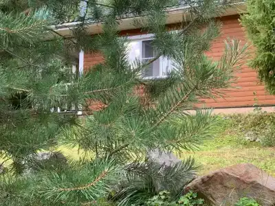 База отдыха Рюттю - 56